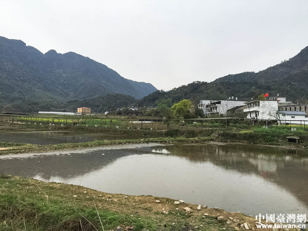 全國網路媒體走進中國扶貧第一村——福鼎赤溪。（台灣網記者 劉瑩 攝）