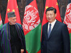 習近平會見阿富汗總統卡爾扎伊