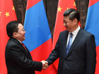 習近平會見蒙古國總統額勒貝格道爾吉