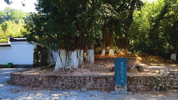 朱子故居紫陽樓遺址_副本1.jpg