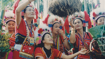2003年臺灣高山族同胞在保亭檳榔園交流——唐小平攝_副本1.jpg