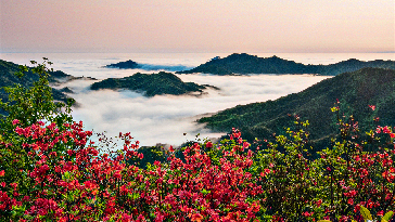 永州陽明山（雲海）_副本1.jpg