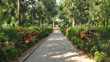 國殤墓園甬道_副本1.jpg