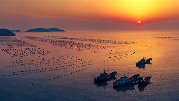 夕照海上牧場（孫金標）_副本1.jpg